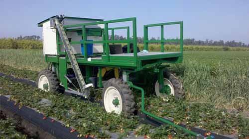 A robotic machine used for harvesting strawberries