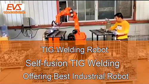 TIG Welding Robot | Self-fusion TIG Welding | Offering Best Industrial Robot