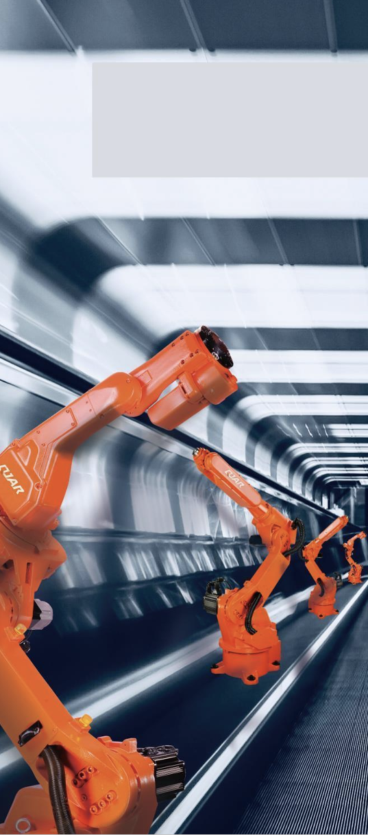 robots palletizing scara robots